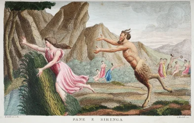 Syrinx wird zu einem Schilfrohr oder Pane e Siringa, Buch I, Illustration aus Ovids Metamorphosen, Florenz, 1832